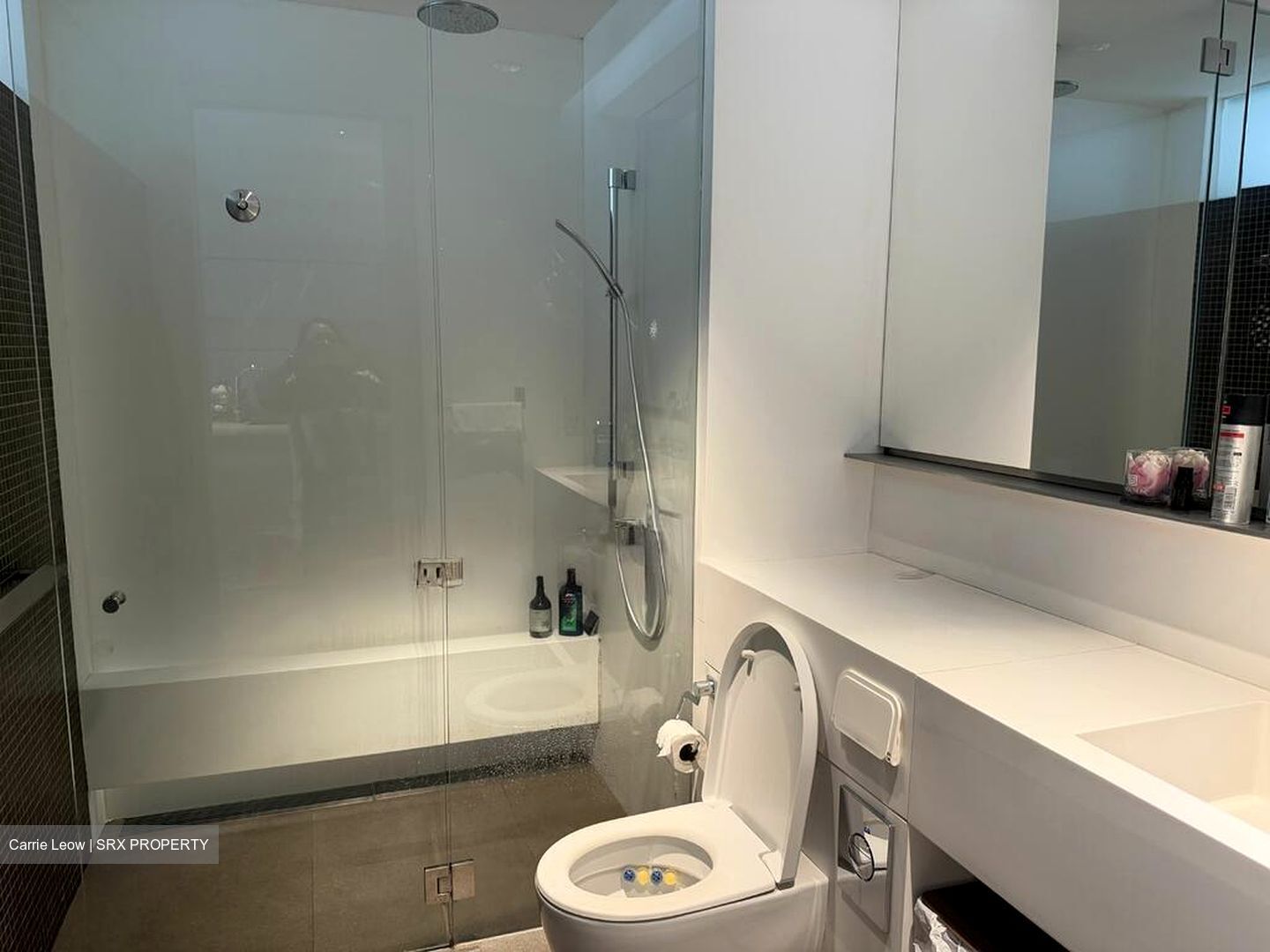 Killiney 118 (D9), Apartment #499078161